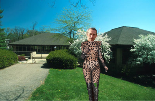 paul newman cat suit