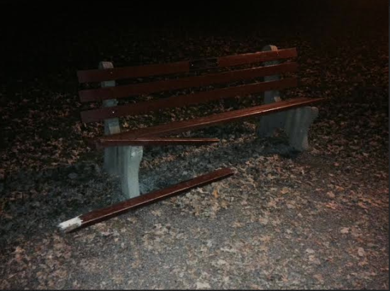 Broken Bench on Middle Path